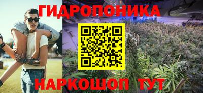 МДПВ Гусев